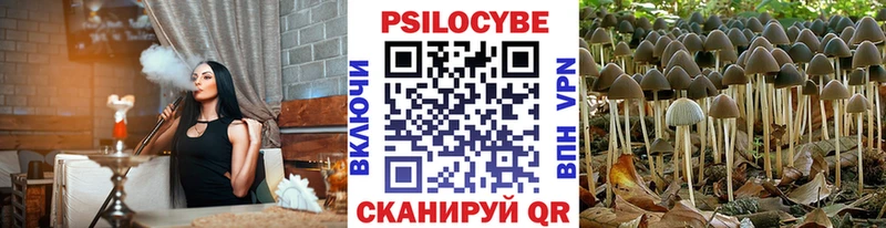 blacksprut онион  Карачаевск  Псилоцибиновые грибы мицелий 
